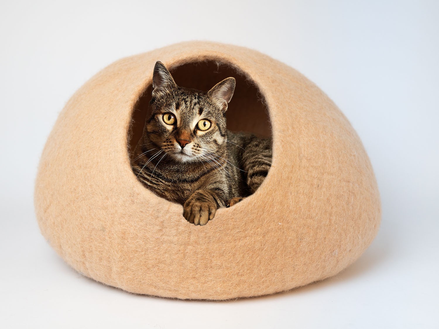 Buy Peach Tone Wool Cat Cave - Felt and Yarn